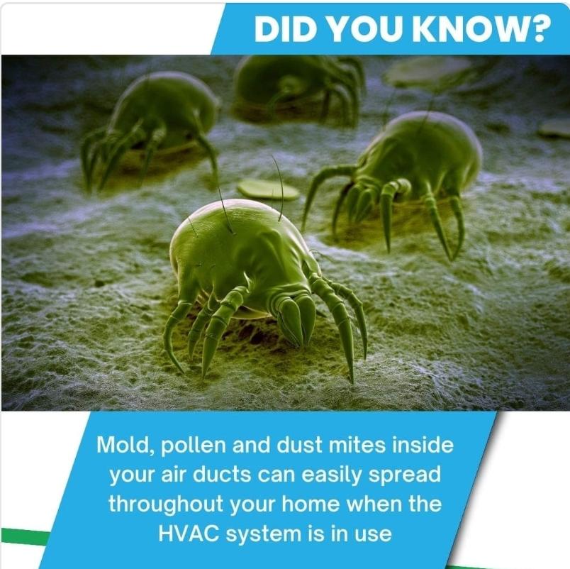 Indoor Air Quality Testing